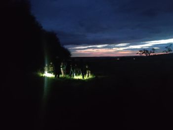 Groupe de personnes sur chemin de campagne de nuit avec des lampes torches ©ReNArd