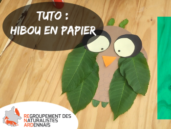 Miniature de la vidéo : hibou en papier et feuilles d'arbres